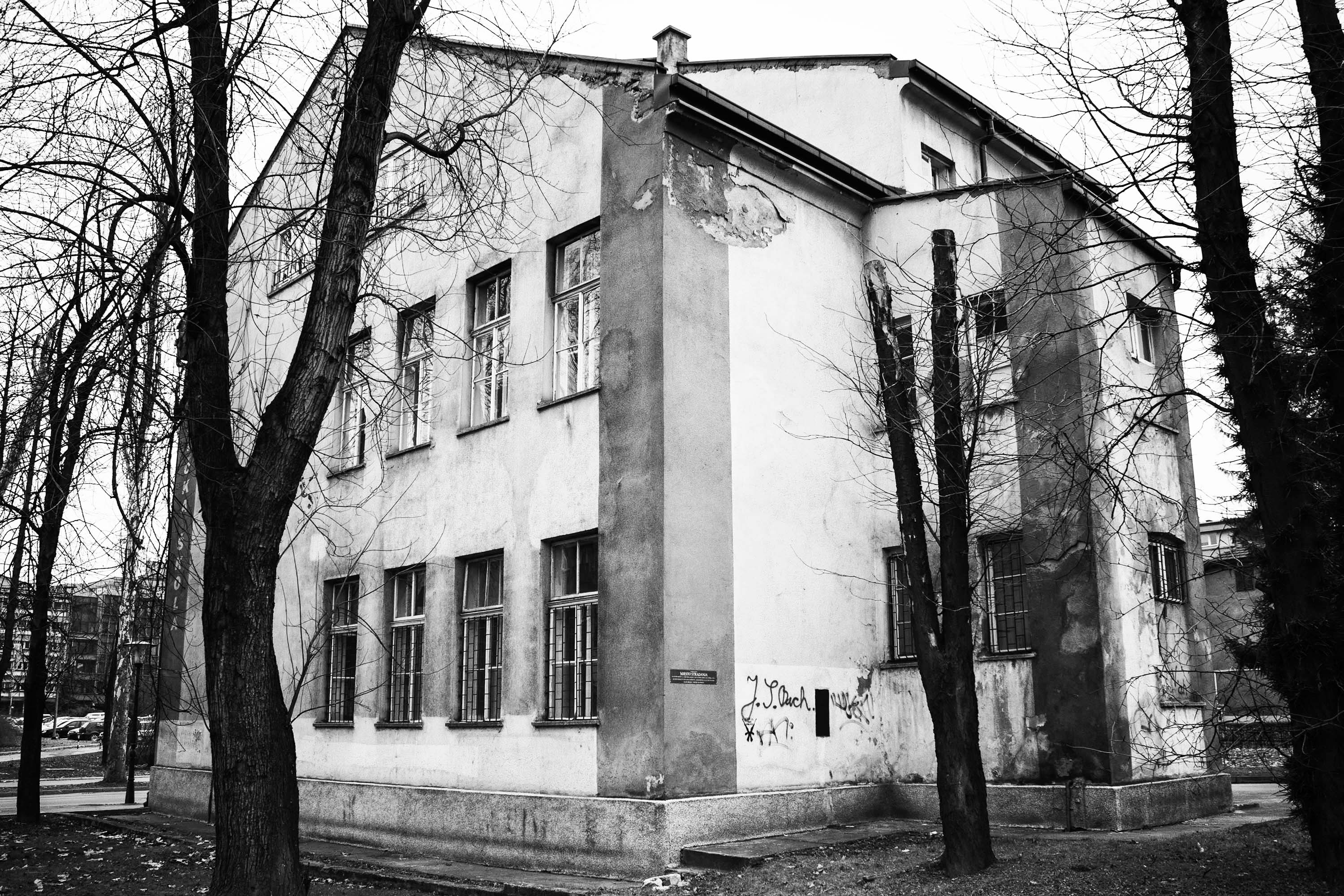 Muzička škola, Zenica
