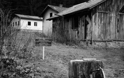 Kozila Forest Estate, Drnić