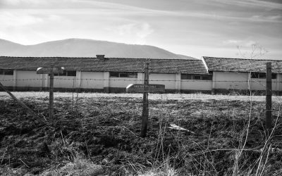 Plant nursery in Rogatica